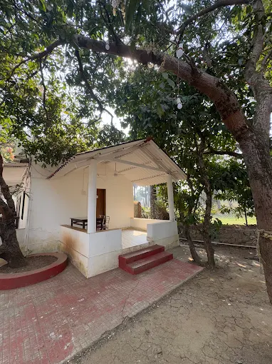 Small cottage under a large shade tree